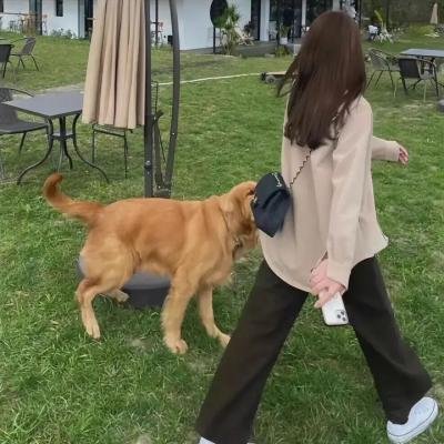 革命……其后